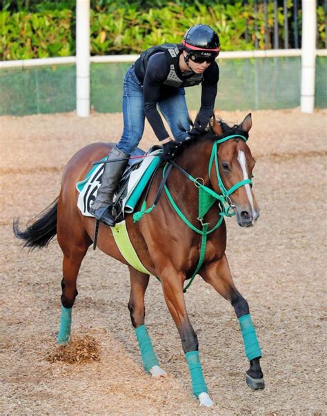 Видео 鳴尾記念2019 過去10年の傾向・分析 канала 競馬予想うま吉. 【鳴尾記念】デニムアンドルビー 復権へ 角居師「だんだん良く ...