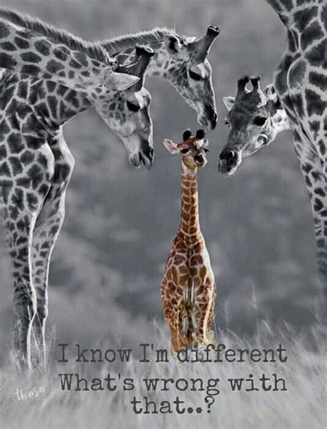 Pin By Julicollection On Quotes Animal Quotes Animals Giraffe