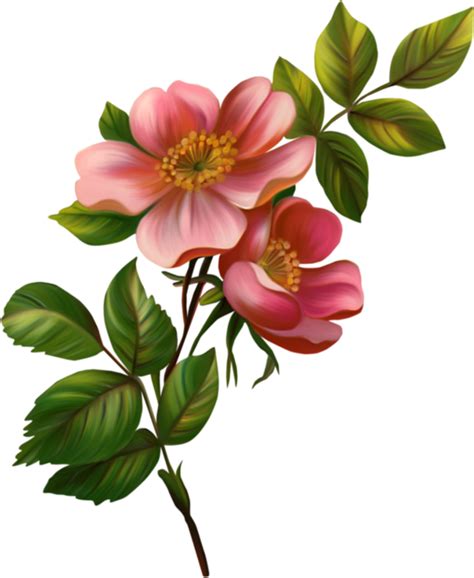 Are you searching for bunga png images or vector? 20+ Gambar Bunga PNG-Flower Vintage Frame Download ...