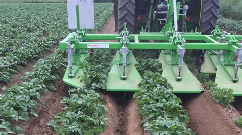 Am besten wählst du aber einen sonnigen und nicht zu windgeschützten standort. Unsere Kartoffeln | Hof Ligges