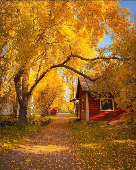 Autumn In Finland Traditional Vibe
