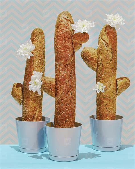 Bread Loaves Forming Cacti With Flowers 247167 Youworkforthem