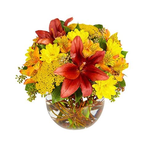 Maybe you would like to learn more about one of these? Flower Delivery Arlington Tx