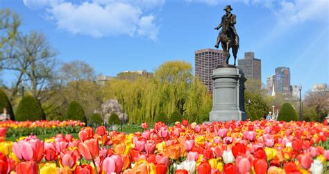 24 Things To Do In Boston In Spring 2021 041021