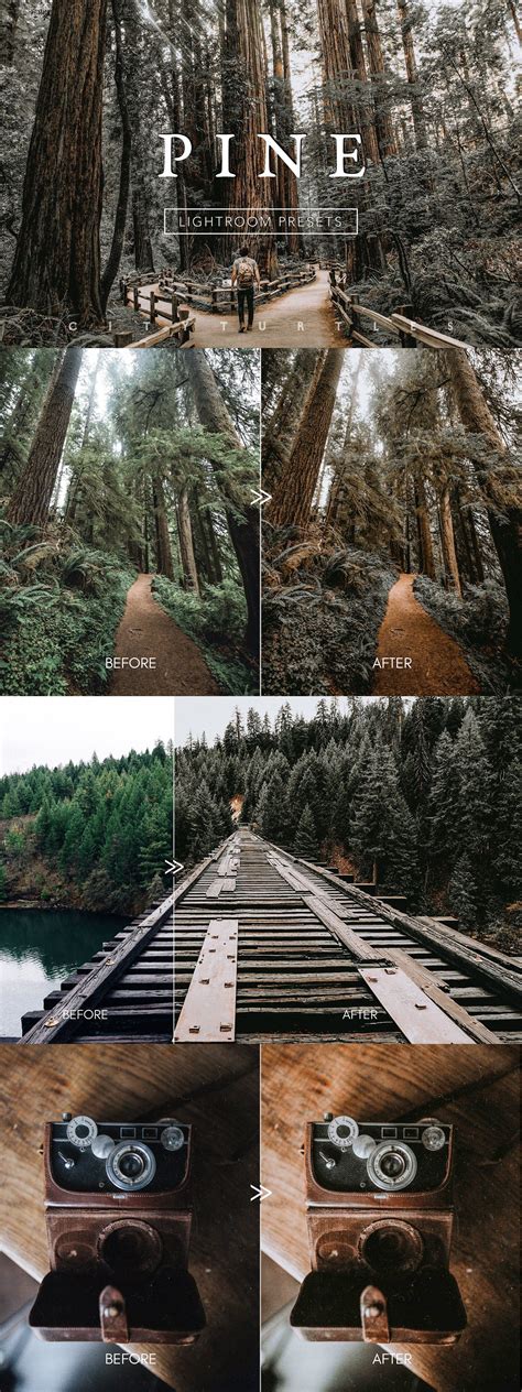 This preset adds a sunlight effect to your photos, so that. PINE Warm Moody Lightroom Presets | Lightroom presets ...
