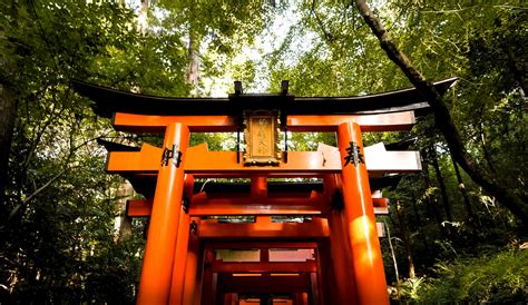 B 6 Unique Shrines With Many Torii Gates In Japan