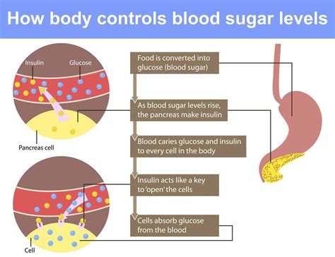 Mastering Your Blood Sugar Simple Steps To Control Your Glucose Levels