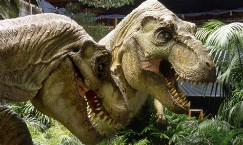 Tyrannosaurus Rex Buck Wiki Jurassic Park Amino
