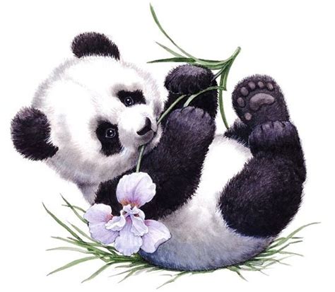 Printable Panda Ruth Morehead Niedlicher Panda Panda Bebe Panda