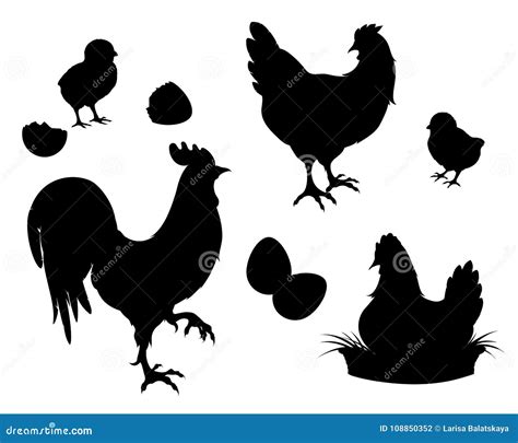 chicken rooster chicks eggs black silhouette stock vector illustration of nature cockerel