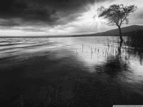 Discover the magic of the internet at imgur, a community powered entertainment destination. Tree In Water Black and White 4K HD Desktop Wallpaper for ...