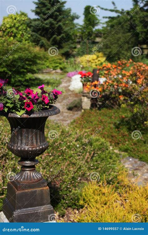 Fancy Garden Stock Image Image Of Garden Botanic Flowers 14699557