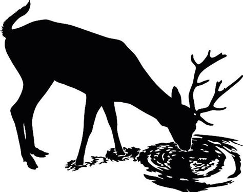 Deer Drinking Silhouette Illustrations Royalty Free Vector Graphics