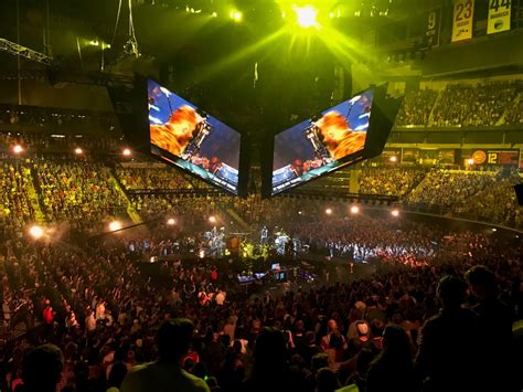 Passion 2 Green And Gold