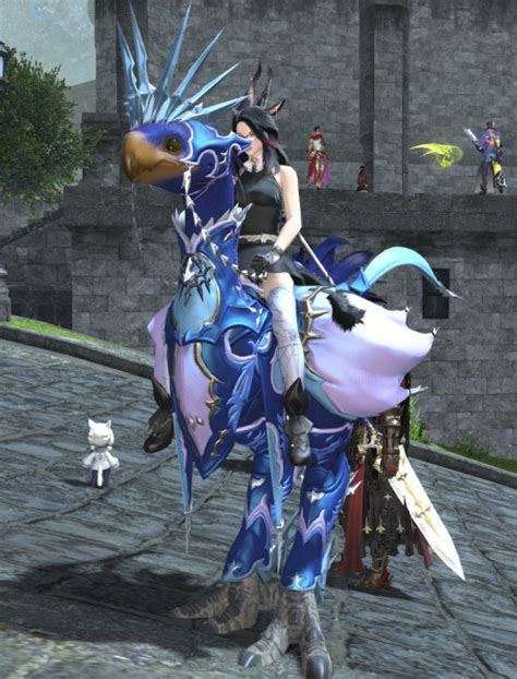 ...So has anyone got a screen shot of the ice barding yet? : ffxiv. 