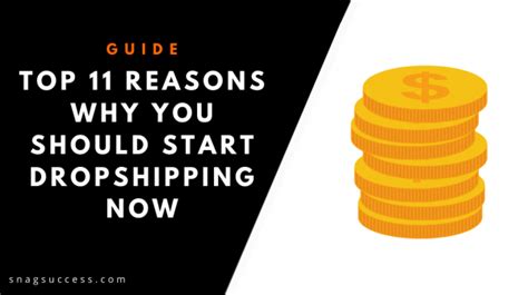 Top 11 Reasons Why You Should Start Dropshipping Now Actual Advice
