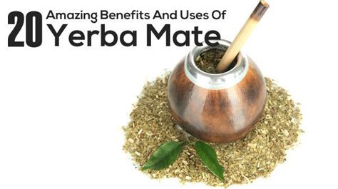 8 Benefits Of Yerba Mate That Will Impress You Yerba Mate Yerba Yerba Mate Benefits