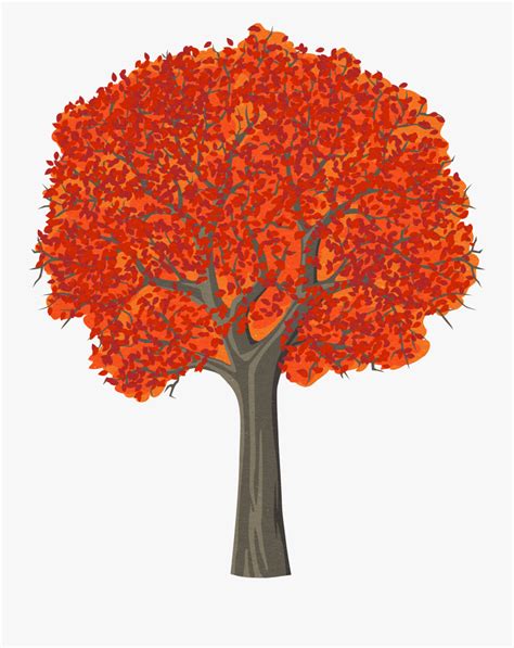 Maple Tree Drawings