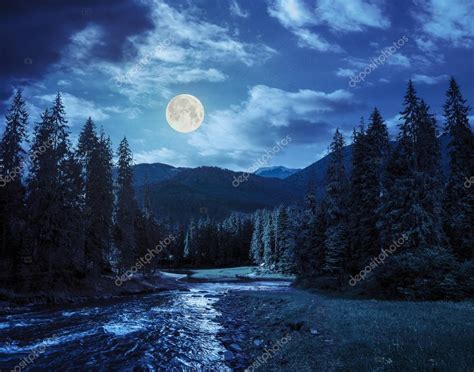 Mountain River In Pine Forest At Night — Stock Photo © Pellinni 60868061