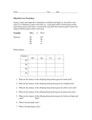 You are a pigeon breeder. Dihybrid Cross Worksheet - Fill Online, Printable ...