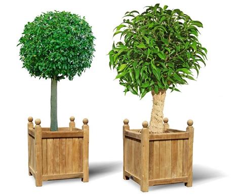 The versailles planter is one of the most distinct and recognizable garden containers. Pair of Large Wooden Versailles Planters | Large Wooden Garden Planters