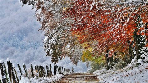 Autumn Snow Wallpapers Top Free Autumn Snow Backgrounds Wallpaperaccess
