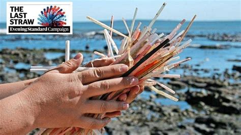 Petition · The Last Straw Ban Plastic Straws From London Businesses