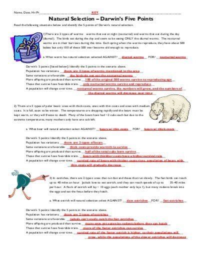 How could natural selection lead to evolution? Darwin's Natural Selection Worksheets Answer Key - Free ...