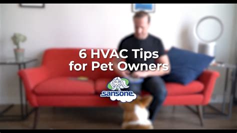 6 Hvac Tips For Pet Owners Youtube