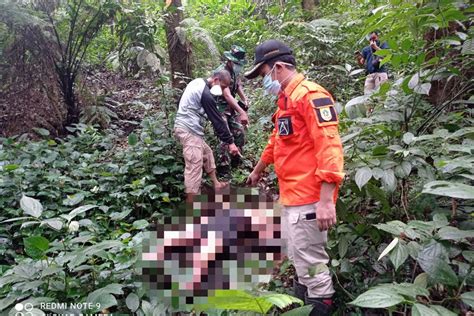 Mayat Tanpa Identitas Ditemukan Nyaris Jadi Tengkorak Di Taman Gunung