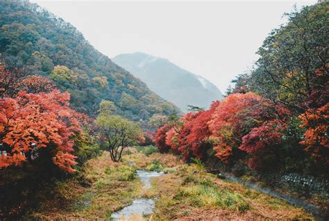 This second largest city of south korea is known. Best Places to See Fall Foliage in Korea - There She Goes ...