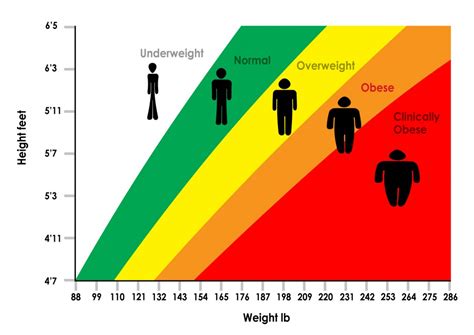 The Link Between Bmi And Longevity 40fit