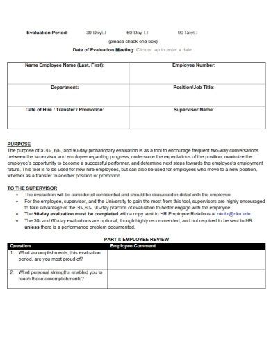 Probationary Evaluation Examples Format Pdf Examples