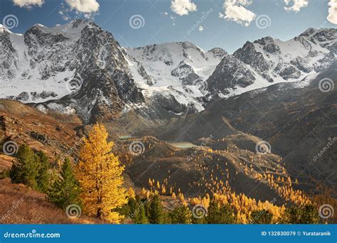 Altai Mountains Russia Siberia Stock Image Image Of Outdoors Rock