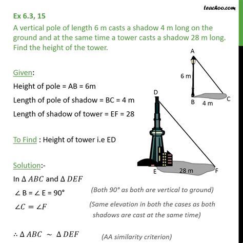 Flagpole Shadow Math Problem Worksheet Example Worksheet Solving