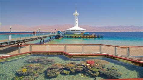 Coral World Underwater Observatory Aquarium Eilat Vacation Rentals