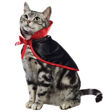 The Vampire Cat Costume Features A Satiny Bright Red And Black Cape