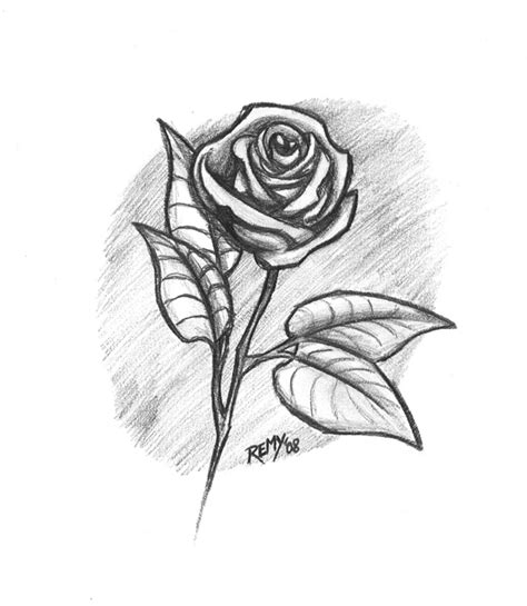 11 Nuevos Dibujos A Lápiz De Rosas