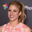 Shakira estrena década y nosotros te resumimos 40 de sus mejores ...