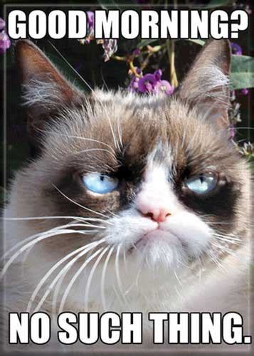 Ata Boy Magnet Grumpy Cat Good Morning No Such Thing Happy Clam Ts