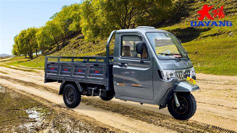China Customized Enclosed Three Wheel Cargo Motorcycle Suppliers