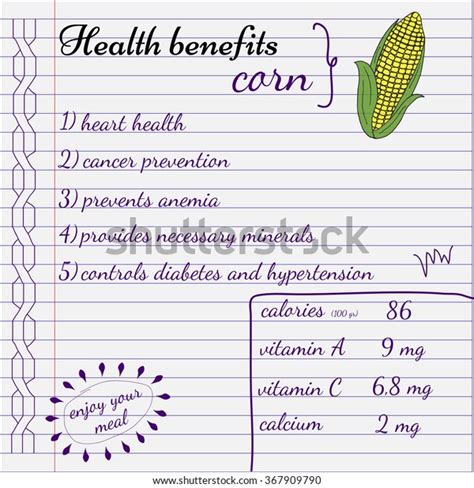 Health Benefits Corn Nutrition Facts Infographics Stock Vector Royalty