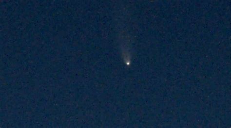 Look Up Comet Neowise Visible This Month In The Northern Sky Wlos