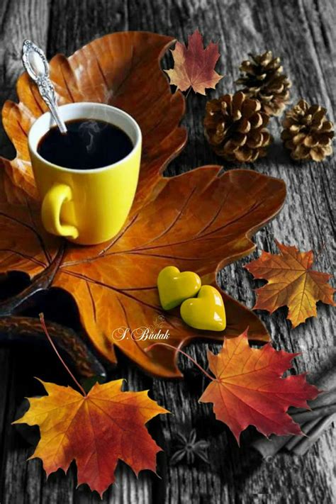 Account Suspended Autumn Tea Autumn Coffee Coffee Time