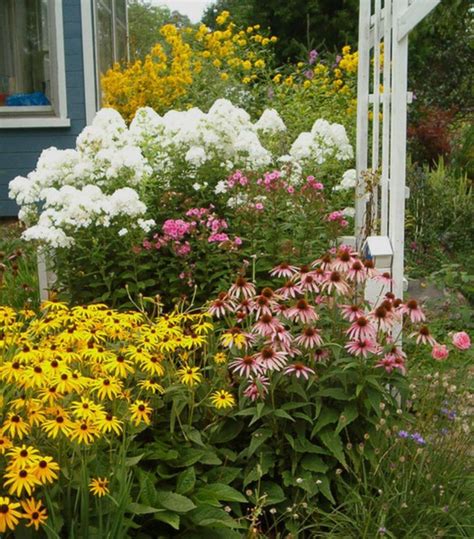 Top 10 Impressive Sun Perennials Front Yard Ideas For Wonderful Garden
