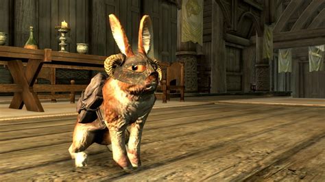 Best Skyrim Mods 2021 Pet The Dogs Swing The Swords 2game