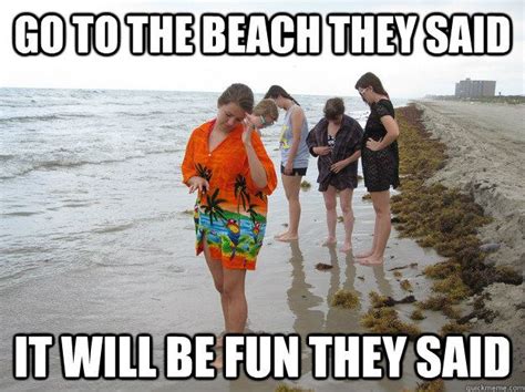 Go To The Beach They Said It Will Be Fun They Said Funny Dating Memes