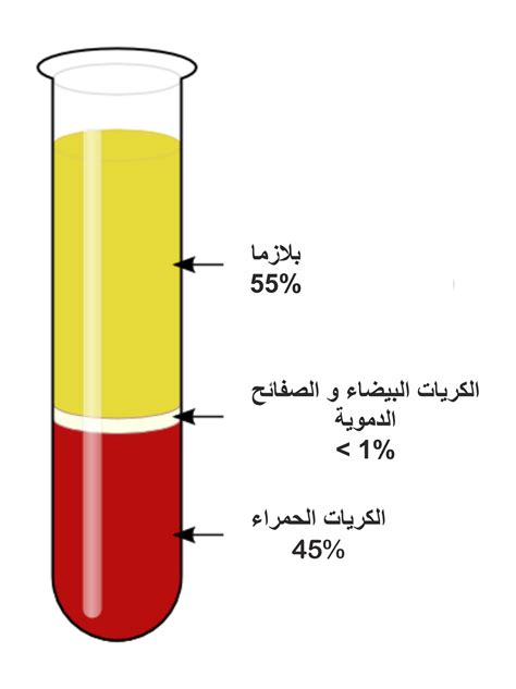 جهاز دوران الدم Baamboozle Baamboozle The Most Fun Classroom Games