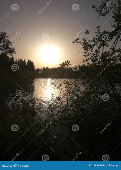 Pale Yellow Lilac Sunset At The Lake Background Stock Photo Image Of