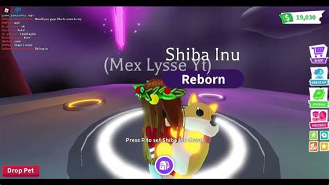 Making Neon Shiba Inu Roblox Adopt Me Mex And Lysse Youtube